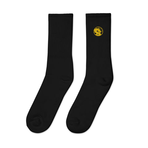 KG Dragon Token socks